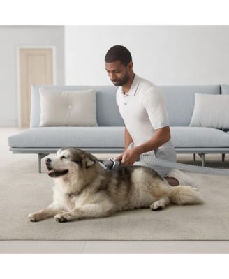 Ball Animal 3 Complete Upright Vacuum