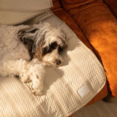 Brigette Romanek Luxury Pet Blanket