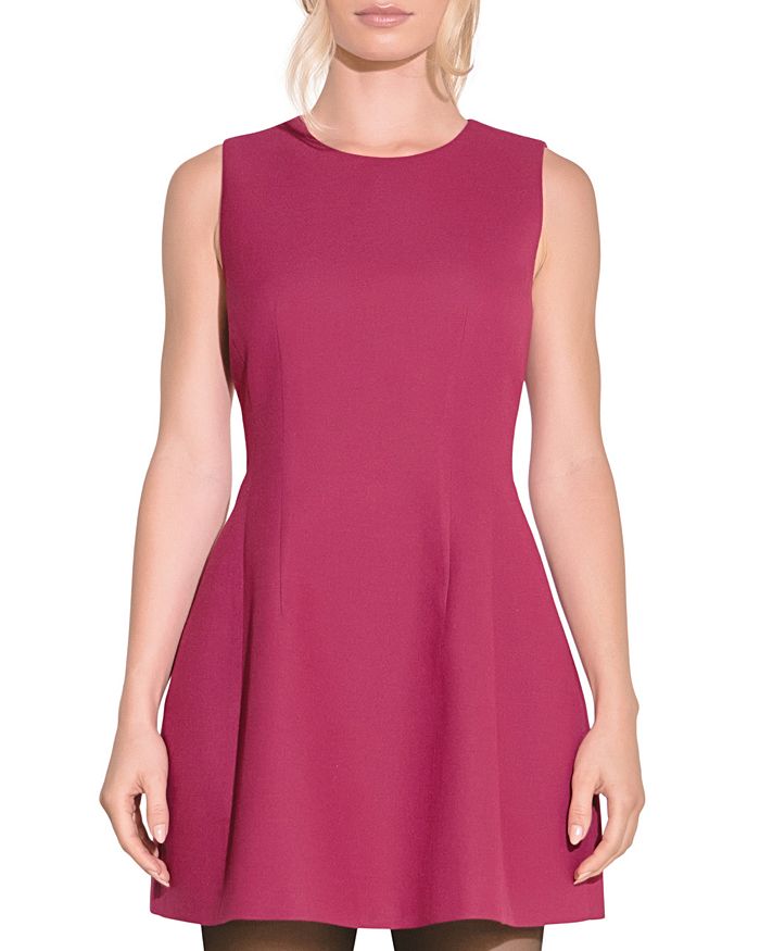 Trend4us Elegant Floral Lace Sleeveless Fit & Flare Mini Dress