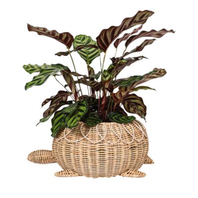 Provence Rattan Turtle Bowl