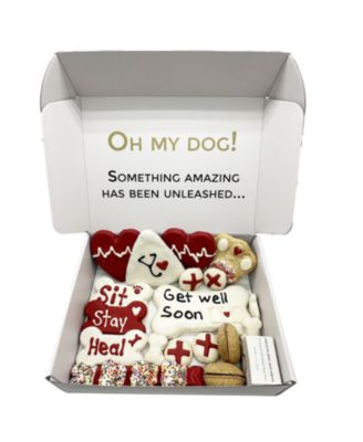 Get Well Soon Themed Dog Treats Gift Box