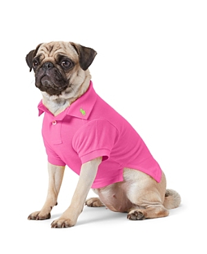 Shop Polo Ralph Lauren Pet Cotton Mesh Dog Polo Shirt In Classic Pink