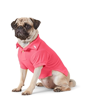 Shop Polo Ralph Lauren Pet Cotton Mesh Dog Polo Shirt In Hot Pink