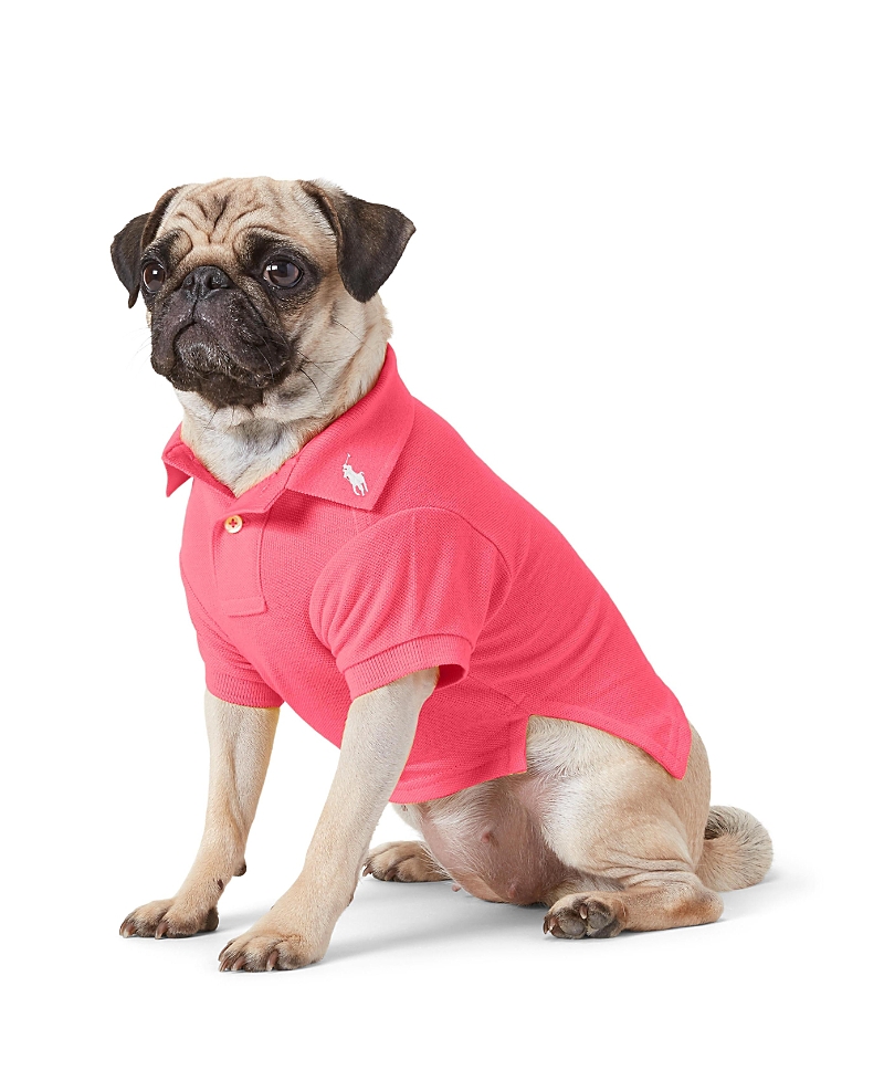 Polo Ralph Lauren Pet Cotton Mesh Dog Polo Shirt