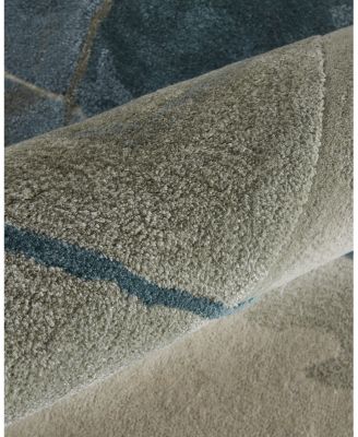Feizy Anya ANY8885F Area Rug, 5' x 8'