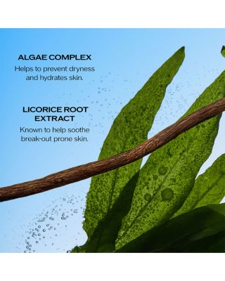 Ultimate Sun Protector Lotion SPF 60+ 1.7 oz.