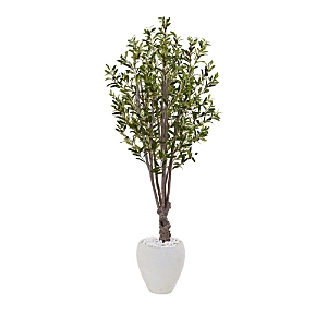 Shop Nearly Natural 5ft. Olive Artificial Tree In White Oval Planter In Green