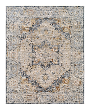 SURYA LAILA LAA-2312 AREA RUG, 2'7 X 4'