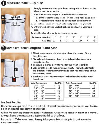 Ariel Hidden Underwire Corset 