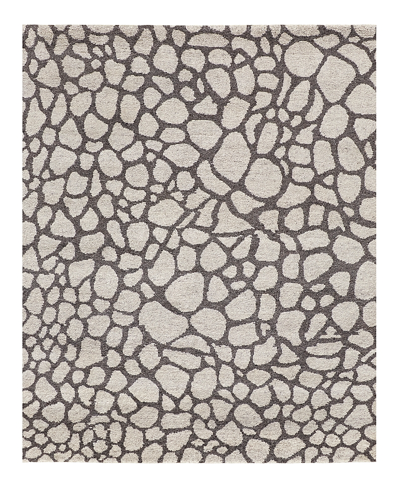 Feizy Belden T03T6001 Area Rug, 2' x 3'