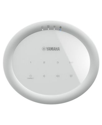  WX-021 MusicCast 20 Wireless Speaker