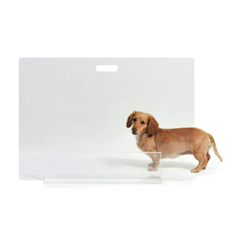 Hiddin Clear View Freestanding Panel Pet Gate, 32 Width