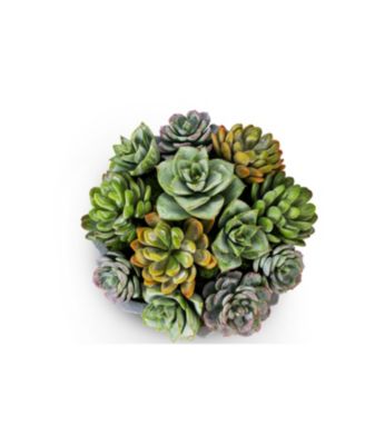 Madison Pleated Ceramic Succulent Arrangement