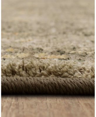 Karastan Euphoria Galway Area Rug, 5'3" x 7'10"