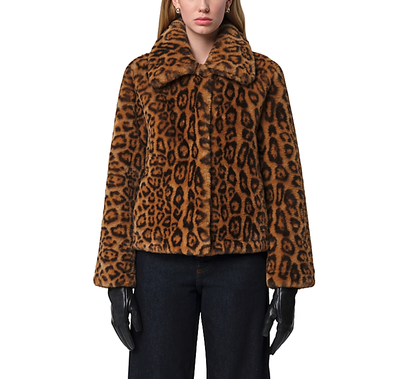 Apparis 'elis' Brown Jacket With Collar