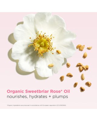 Hydrating Peptide &amp; Plumping Lip Oil Balm