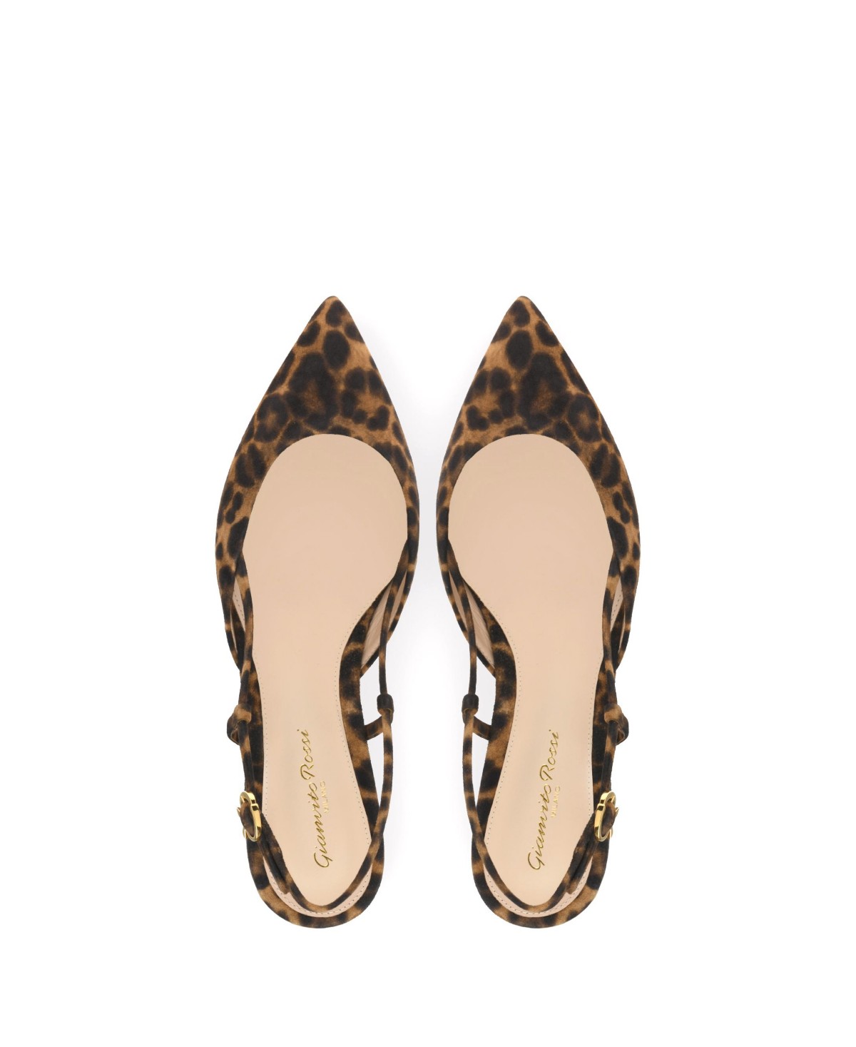 Gianvito Rossi Women's Ascent 05 Flats in Leopard Print Suede