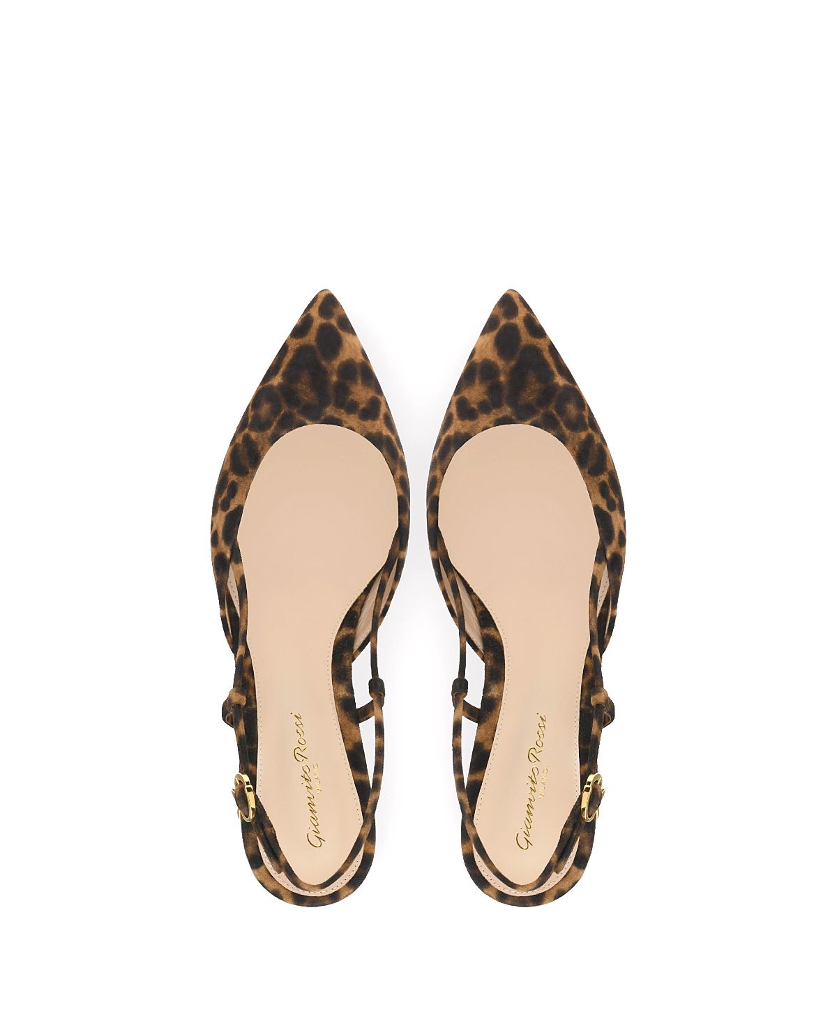 Gianvito Rossi Women's Ascent 05 Flats