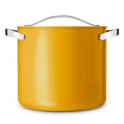 Cookware+ Stock Pot with Lid