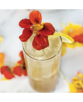 Terrific Tequila Cocktail Infusers