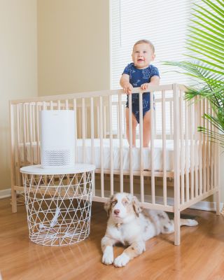 Crane Air Purifier with True HEPA Filter, UV Light, 250 Sq Feet Coverage, Timer Function, Sleep Mode, Washable Particle Filter, EE-5067