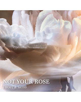 Absolue Not Your Rose Eau de Parfum 3.4 oz.