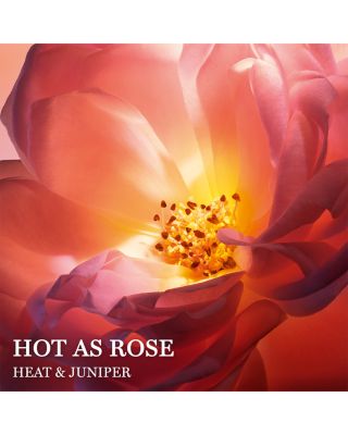 Absolue Hot as Rose Eau de Parfum 3.4 oz.