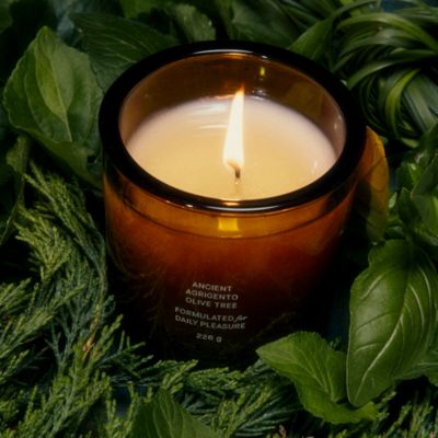  Agrigento Olive Tree Candle 8 oz.