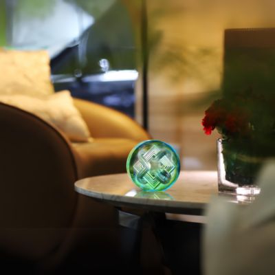 Endless New Horizons Crystal 2025 Snake Paperweight