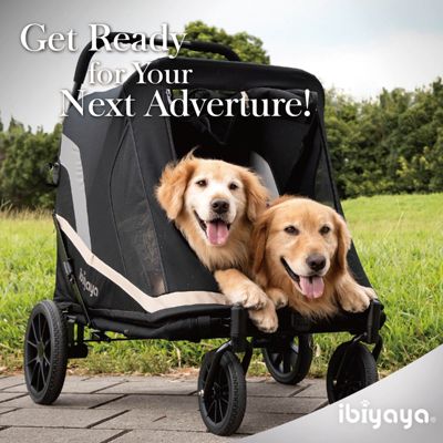 Grand Cruiser Large Dog Stroller