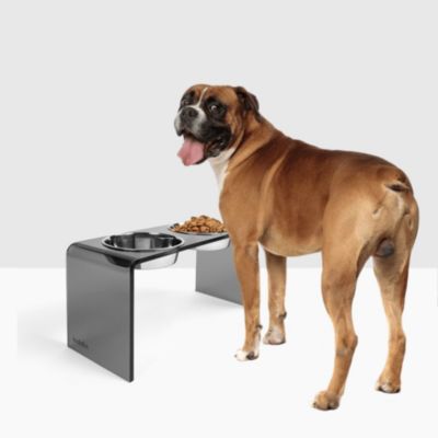 Tall Smoke Grey Pet Feeder, 2 Quart Bowls