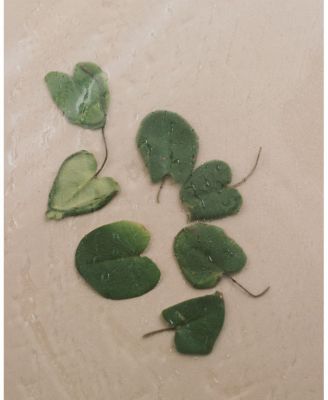 Niacinamide Heartleaf Calming Serum