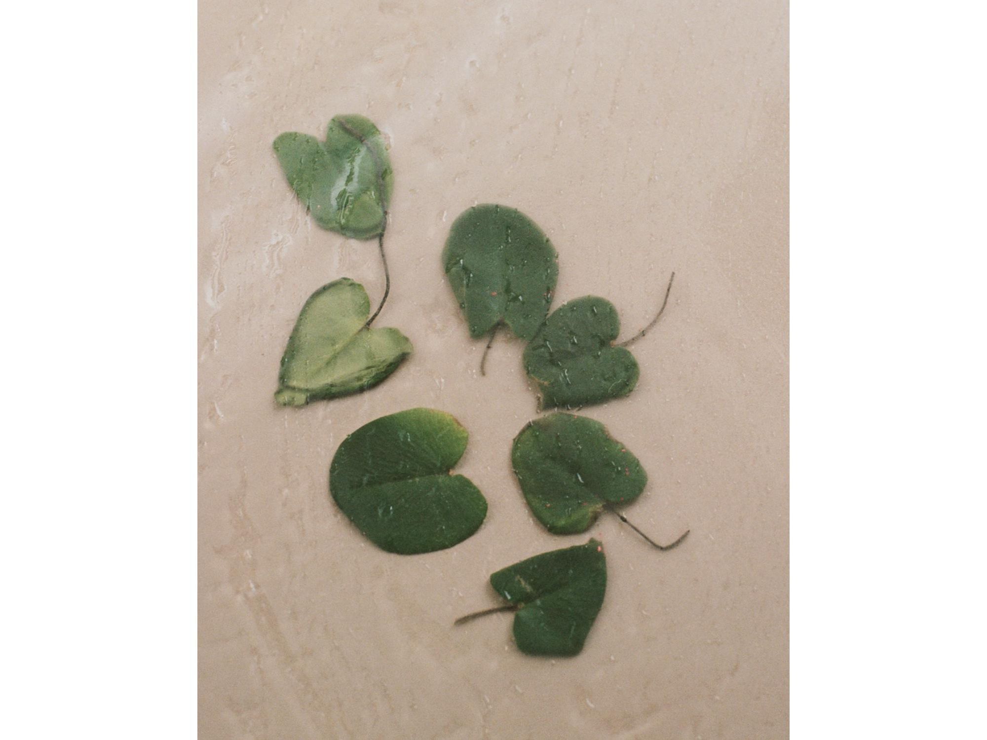 Niacinamide Heartleaf Calming Serum — Image 8