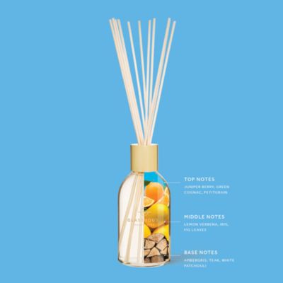The Hamptons 8.4 fl. oz. Fragrance Diffuser