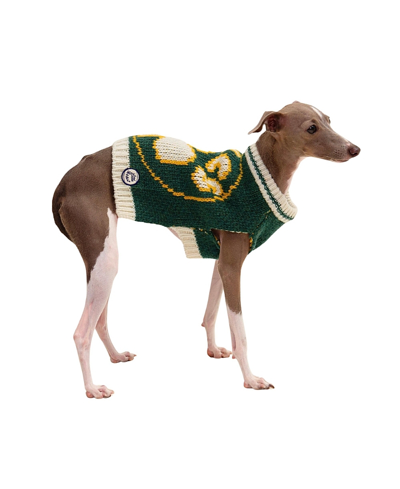Little Beast Nba Boston Celtics Dog Sweater