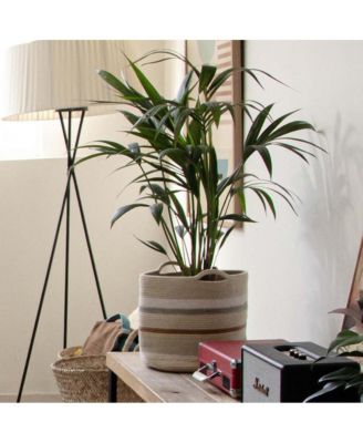 Triplet Basket - 1' x   1'