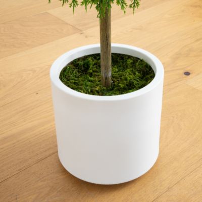 2.5&#39; UV Resistant Artificial Cedar Ball Topiary Tree in White Decorative Planter (Indoor/Outdoor) Artificial Topiary