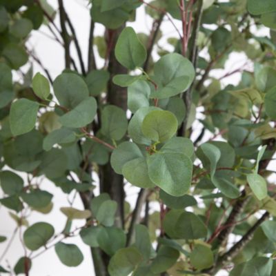 Artificial Eucalyptus Tree, 12'