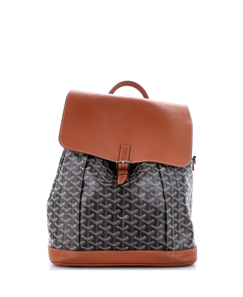 Pre-owned Pre-owned Goyard Goyard Mm Alpin Backpack Coated Canvas In Brown