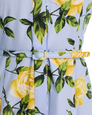 English Rose Poplin Dress 