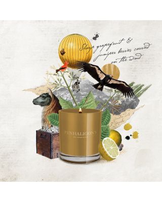 Calisaya Bark Candle 7.05 oz.