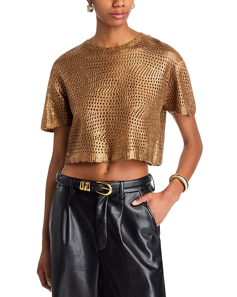 Steve Madden Biana Metallic Open Stitch Short Sleeve Crop Sweater In Caramel Cafe