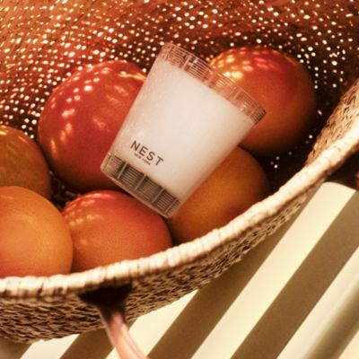 NEST New York Grapefruit Classic Candle, 8.1 oz.
