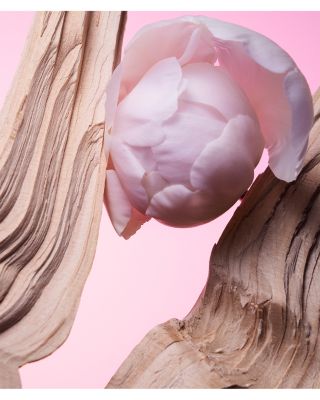 Allegra Insieme Eau de Parfum 3.4 oz.