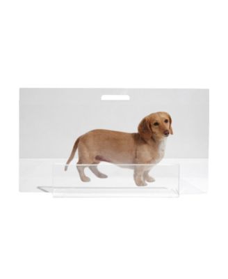 Low Clear Pet Gate Panel