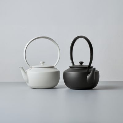 MoonKettle Electric Kettle