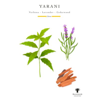 Max 35 Sacred Trees Yarani Candle