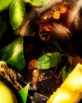 Apex Eau Intense Pour Homme 3.4 oz.