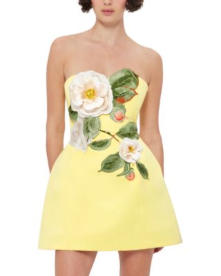 Rosario Appliqué Floral Bustier Mini Dress