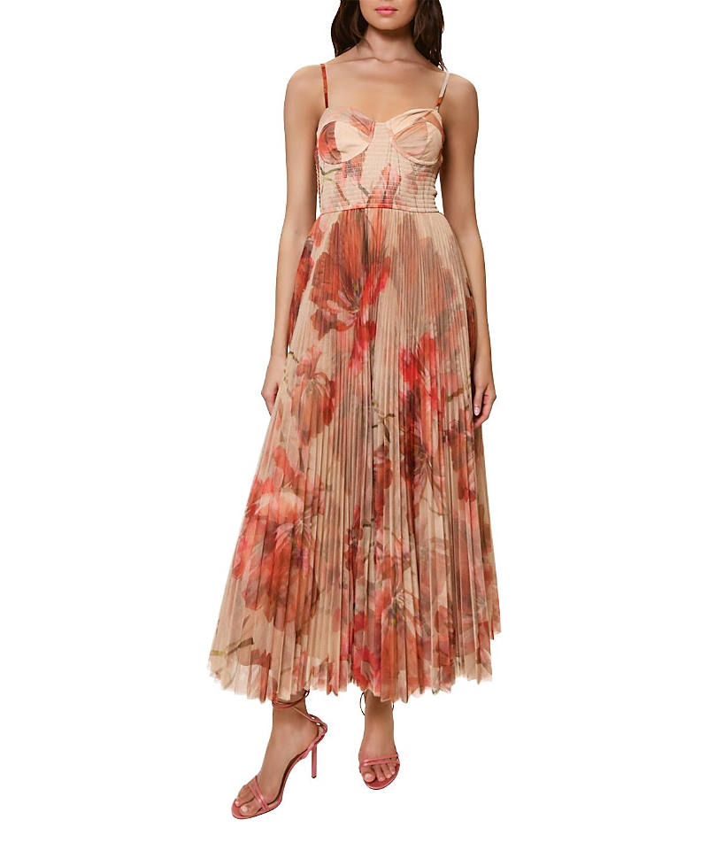 Hutch Brianna Sleeveless Bustier Pleated Tulle Maxi Dress